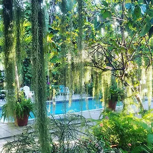 Gasthof Orchid, Kingston